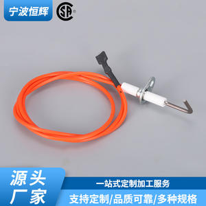 Aiguille d'allumage pour brûleur à gaz HF 043 en acier inoxydable intégrée pour chaudières industrielles - Product Image 2