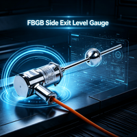 Série FBGB / Ex Db IIC T6 / Précision 1μm / Niveaumètre à installation flexible à sortie latérale, directement de l'usine