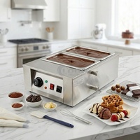 Machine à fondre le chocolat en acier inoxydable, électrique, 110V/220V, chauffe-chocolat commercial, vente chaude