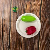 Vente en gros 100% assiettes jetables compostables biodégradables bagasse canne à sucre 9 pouces de pâte à papier de canne à sucre plat de fête de qualité alimentaire