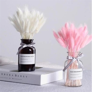2025yearsNatural Factory Price Various Colors Decorative <strong>Flowers</strong> Natural Large Tall Big <strong>Mini</strong> Small Pampas <strong>Dried</strong> Flowbest Quality - Product Image 2