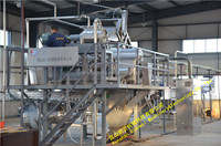 Mango-pulp productielijn, fruitsapmachine, mango-pulpmachine, mango-schilmachine