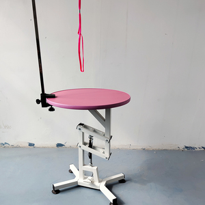 <span class=keywords><strong>Table</strong></span> de toilettage pour animaux de compagnie en acier inoxydable avec fonction de levage électrique, élimination des poils, alimentation rechargeable, conforme aux normes - Product Image 2
