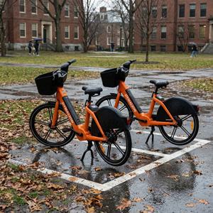 Bicicletas Antirrobo para Compartir con Batería Intercambiable, <span class=keywords><strong>Bicicleta</strong></span> Eléctrica de Alquiler Comercial para Complejos Turísticos - Product Image 6