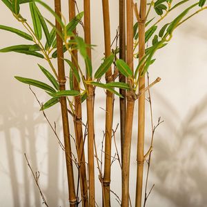 <span class=keywords><strong>Vente</strong></span> flash : Arbre en bambou artificiel de 1,80 m (6 pieds), herbe et feuilles en plastique simulées pour la décoration de la maison, du bureau, de l'hôtel et du jardin - Product Image 4