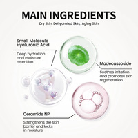 Sérum pour le visage à l'acide hyaluronique à petite molécule pour une ligne fine et une hydratation intense et un hydratant pour le visage et une peau visiblement repulpée