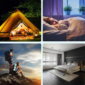 Lampe anti-moustiques LED portable rechargeable par USB 2 en 1 professionnelle, autres équipements de camping, lanterne de camping suspendue pour tente extérieure, UV - Product Image 6