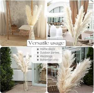 Hierba de Pampas Esponjosa para Decoración del Hogar y Bodas, Flores Secas Naturales, Hierba de Pampas Alta y Esponjosa - Product Image 4