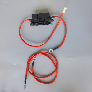 Kabel Baterai Kustom 6mm² 10kv dengan Fuse Holder 02981001ZXT Littlefuse Mega 298125 untuk Pengontrol Pengisian Arus Tinggi - Product Image 1