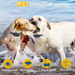 Collier <span class=keywords><strong>anti</strong></span>-<span class=keywords><strong>aboiement</strong></span> de chien de haute qualité personnalisé en gros étanche à l'eau avec collier de dressage de chien électrique à distance arrêt d'<span class=keywords><strong>aboiement</strong></span> 1000m - Product Image 5