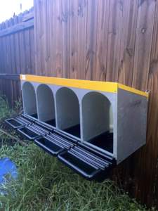 Nido para gallinas de patio trasero con 4 compartimentos, caja de puesta de huevos con bandeja de recogida de huevos de plástico para granja. - Product Image 4