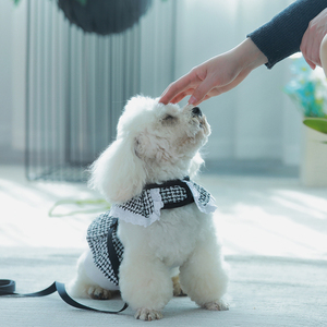 Luxury Shirt Dress Pets Outfits Leash Clothes Small Dog Party Skirt <strong>Puppy</strong> Sublimation Custom Dog <strong>Harness</strong> <strong>Design</strong> Dog Summer - Product Image 2