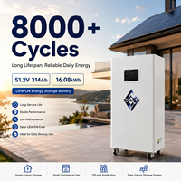 Batterie rechargeable 16 kWh 51,2 V 314 Ah LiFePO4 avec roues pour stockage d'énergie solaire