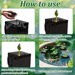 蓝带手柄PVC水培盆，适用于家庭池塘植物、荷花和湿地植物 - Product Image 3
