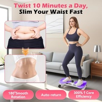 Disques d'exercice silencieux pour le ventre, entraînement de la graisse abdominale, antidérapant, fitness à domicile, disque pour hommes et femmes, machine à tordre la taille