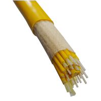 Cable de Fibra Óptica Flexible Aislado para Interiores con 10 Conductores para Comunicación
