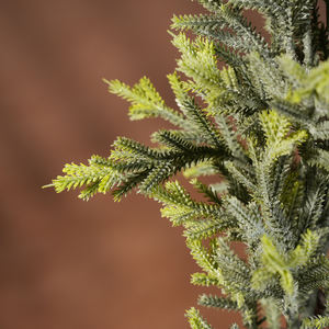 Arbre <span class=keywords><strong>de</strong></span> Noël artificiel <span class=keywords><strong>de</strong></span> haute qualité, écologique, <span class=keywords><strong>en</strong></span> <span class=keywords><strong>sapin</strong></span>, sur pied, <span class=keywords><strong>en</strong></span> <span class=keywords><strong>pot</strong></span>, vert, personnalisé, pour intérieur/extérieur, bureau - Product Image 3