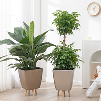 Ensemble de 3 pots à plantes en plastique auto-arrosants avec indicateur de niveau d'eau, finition laquée, pot carré conique brillant pour la maison et le jardin