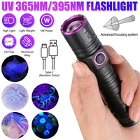 Linterna UV Mini de Aluminio, 5W, Tipo C, Recargable por USB, Luz Negra, Detector de Dinero, Ultravioleta Pura de 365nm, para Camping, IP44