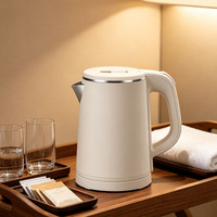 Bouilloire Électrique Sans Fil 0,8 L Économe en Énergie, Chauffe-Eau en Acier Inoxydable, Appareil de Cuisine Anti-Calcaire