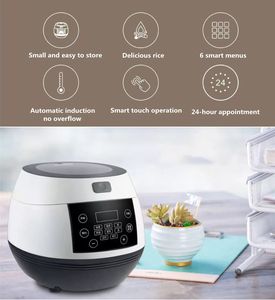 2024 Amazon meilleure vente cuisine <span class=keywords><strong>cuiseur</strong></span> appareil 3L bébé électrique National Deluxe mini cuiseurs à riz - Product Image 5