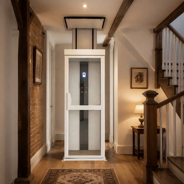 Small Home Elevator 2 Story Compact House Lift 3 Floors Space Saving Residential Lift Pitless Ascensor Para Casa