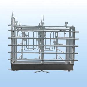 Jaula de Gestación HENGYIN HY-AFS de Venta al por Mayor en China, Diseño de Puerta Trasera, Uso en Granjas Porcinas, Material Galvanizado en Caliente, Larga Vida Útil - Product Image 1
