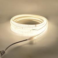 Bande lumineuse LED 220V sans fil 2835 double rangée 120 LED haute luminosité IP20 ABS intérieur extérieur maison CRI80 6000K/3500K 100lm/W