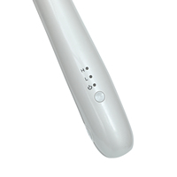 Mini Plancha de Pelo de Viaje, Herramientas de Peinado en Oferta, Plancha de Pelo Inalámbrica Recargable por USB