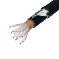 Câble de commande en cuivre isolé et gainé en PVC avec blindage en feuille de cuivre KVVP2