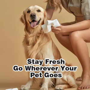 Toallitas de Limpieza Ecológicas para Mascotas al por Mayor, Portátiles, Envasadas Individualmente, Sin Alcohol, para Perros y Gatos, para Desodorizar - Product Image 6