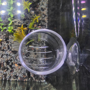 Uitstekende Kwaliteit Vis Tank Rode Bug Cup Acryl <span class=keywords><strong>Aquarium</strong></span> Feeder <span class=keywords><strong>Aquarium</strong></span> Zuignap Oogst Garnaal Mos Waterplanten - Product Image 5