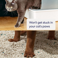 Vente en gros de litière biodégradable super absorbante sans poussière pour chat, tofu à agglutination rapide, emballage personnalisé avec logo