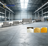 Línea de Producción Instantánea de Alta Capacidad, Máquina para Recuperar Arroz Roto, Máquina para Hacer Arroz Artificial, Equipo para Arroz Reconstituido