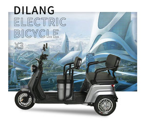 Vendita Diretta dalla Fabbrica Nuovi Eleganti Tricicli Elettrici a 3 Ruote Personalizzabili Bici Elettrica in Acciaio per Famiglie e Passeggeri - Product Image 6