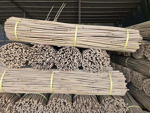 Estacas de Bambú Seco para Soporte de Plantas en Invernaderos, Varillas de Bambú de Diámetro Pequeño para Uso Agrícola - Product Image 6
