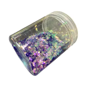 2023 Hot Sell Beste Kwaliteit Huisdier Glitter Poeder Bulk Chunky Mix Glitter Poeder Voor Nail Arts & Crafts