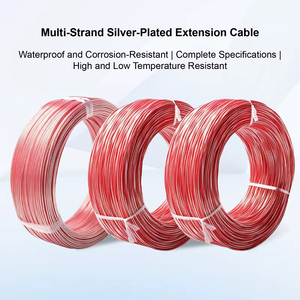 Câble d'extension blindé en maille métallique argentée PT100 RTD 100m, <span class=keywords><strong>gaine</strong></span> extérieure PTFE/PFA/FEP, indice de protection IP65, 750V, industriel - Product Image 2