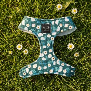 Simple Comfortable Cotton <b>Dog</b> & Cat Harness Elegant Fashion Style Breathable Feature Personalized Pet Accessory Wholesale - Product Image 1