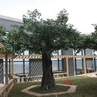 Arbre banian réaliste en fibre de verre de 3 m pour librairie, café, coin lecture, ambiance littéraire, décoration intérieure, design de verdure