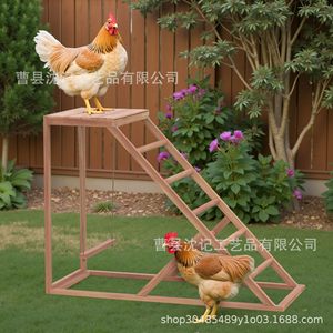 กรงไก่ไม้พร้อมบันไดและชิงช้า ที่อยู่อาศัยกลางแจ้งสำหรับสัตว์ปีก เช่น ไก่ เป็ด ห่าน - Product Image 2