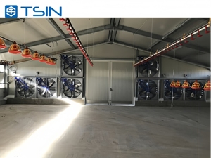Tsin thiết kế thực tế chống gió & tuyết đẹp & an toàn lắp đặt chuồng gà đơn giản cho các trang trại - Product Image 2