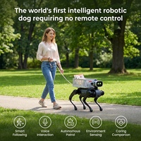 Robot chien IA multifonctionnel pour le transport de marchandises, la patrouille, l'inspection et l'aide quotidienne à la maison