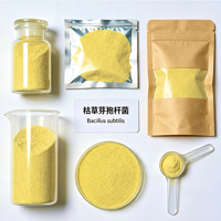 Enzymes de qualité alimentaire 100 milliards UFC/g en poudre, probiotique pour la santé digestive des porcelets, absorption des nutriments et croissance