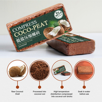 Bloc de tourbe de coco naturel pour les plantes
