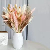 Rangkaian Bunga Kering Alami Rumput Pampas Ramah Lingkungan Gaya Boho untuk Dekorasi Pernikahan Natal Rustic Buket