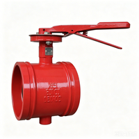 Vanne papillon rainurée pour système d'incendie à jet d'eau JIS 10K ANSI 150 #   BS pour OEM homologué FM, usage intensif