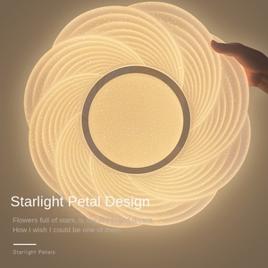 Nordique Moderne Minimaliste En Aluminium Designer Entrée Allée Salon Chambre Balcon Étude Plafonnier Rond - Product Image 2