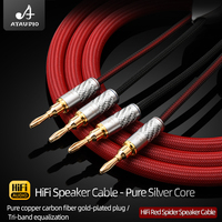 Câble audio pour haut-parleur en argent pur de haute qualité, amplificateurs de puissance, prise banane plaquée or, câble de mise à niveau de haute qualité pour projecteur