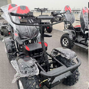 Scooter ATV 4x4 de 60V 50ah/80ah con Tracción en las Cuatro Ruedas, Velocidad de 75 km/h, Vehículo Utilitario con Ruedas de 2024, Nuevo Diseño, Tipo Económico HD4 Totalmente Eléctrico - Product Image 4